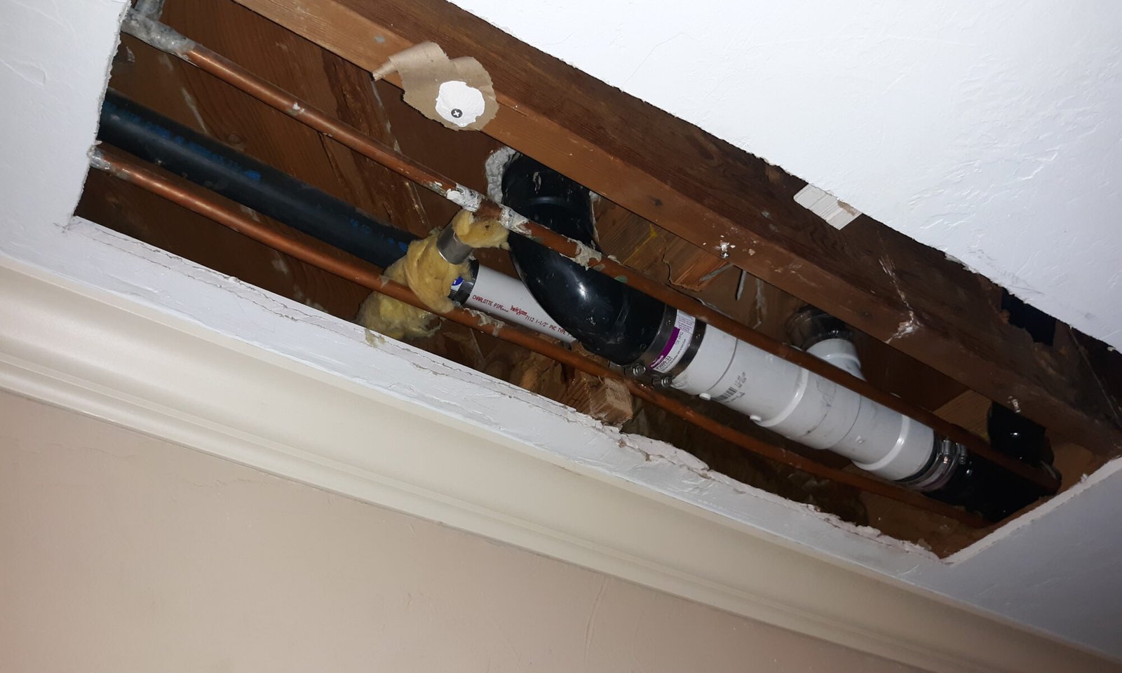 Master Plumber